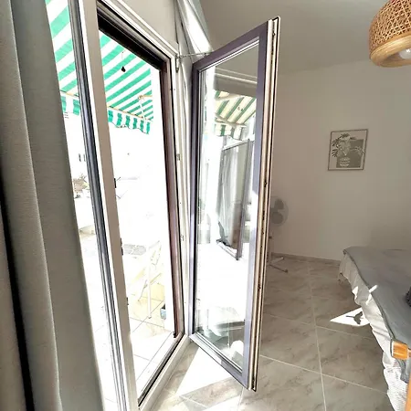 Aloe Vera Costa Teguise